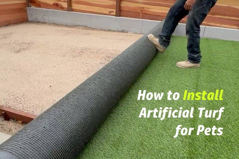 come installare erba sintetica per animali domestici