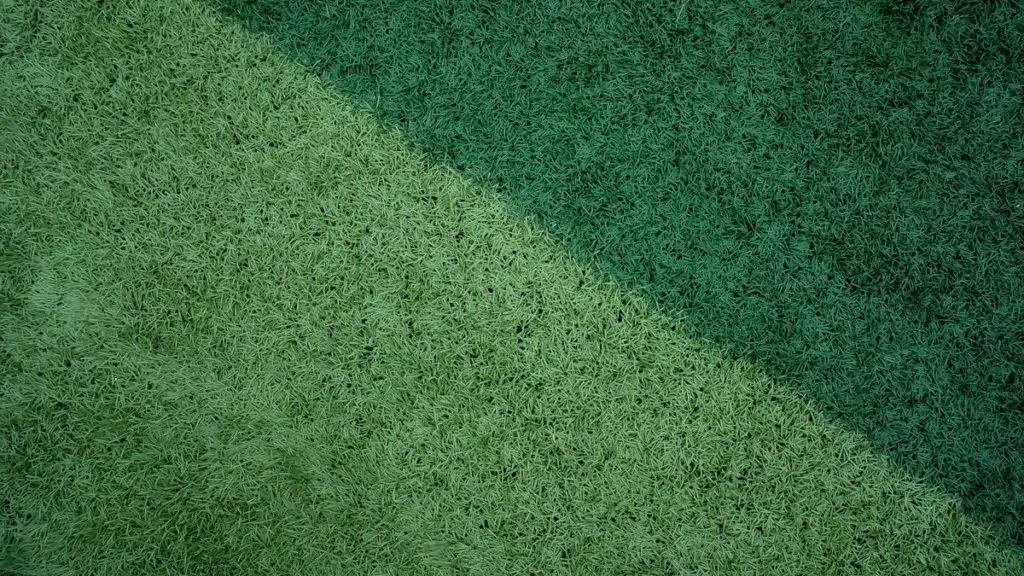 I 10 migliori produttori di erba artificiale