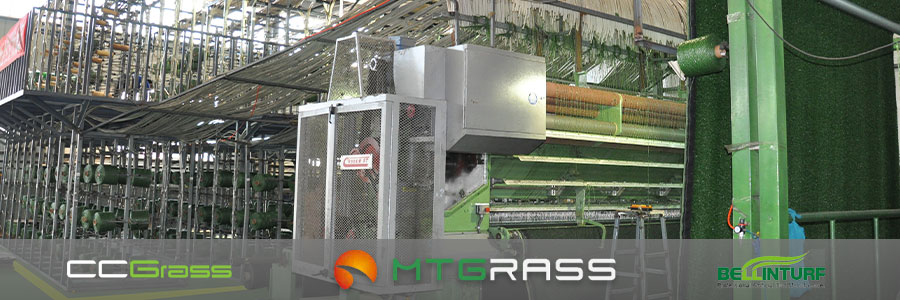 Mächtige Grasfabrik 2025072102