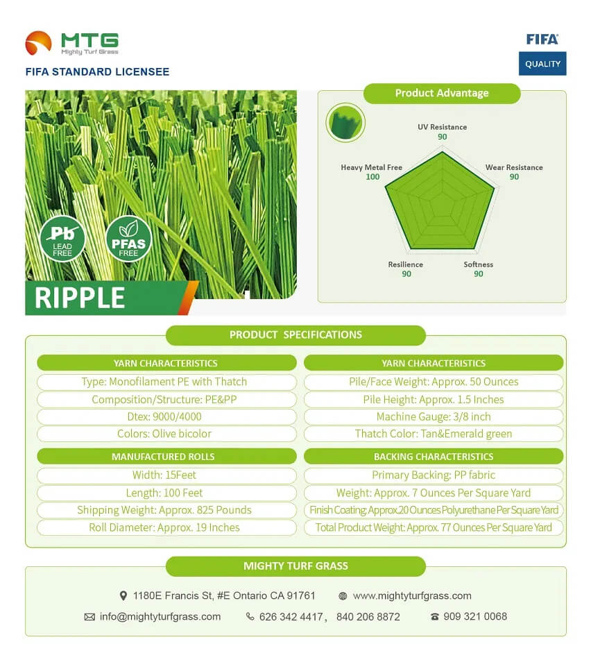Ripple Specification