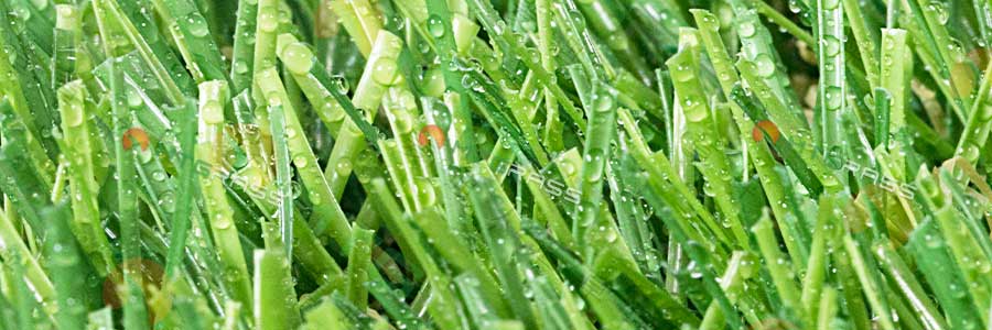 types of artificial grass