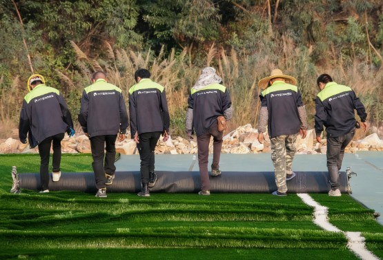 placement du gazon 199