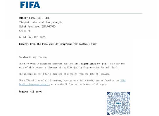 gazon approuvé par la fifa