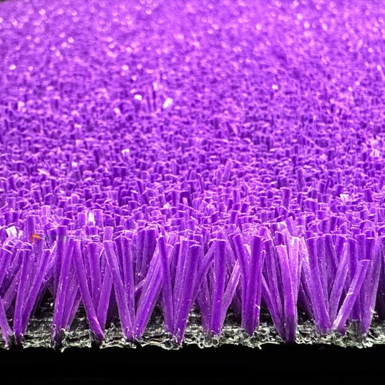 MT クリケット パープル