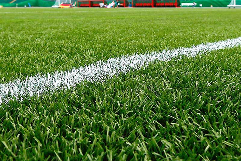 world cup artificial turf