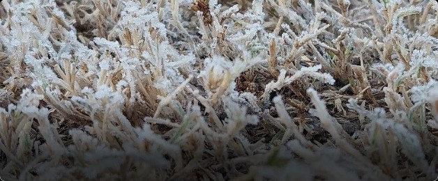 seasonal limitations879