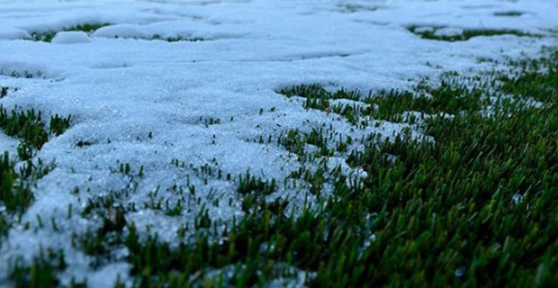 стабильность при замораживании и оттаивании2