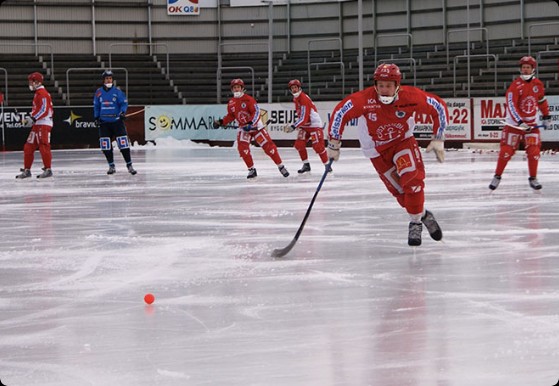 поле для игры в бенди