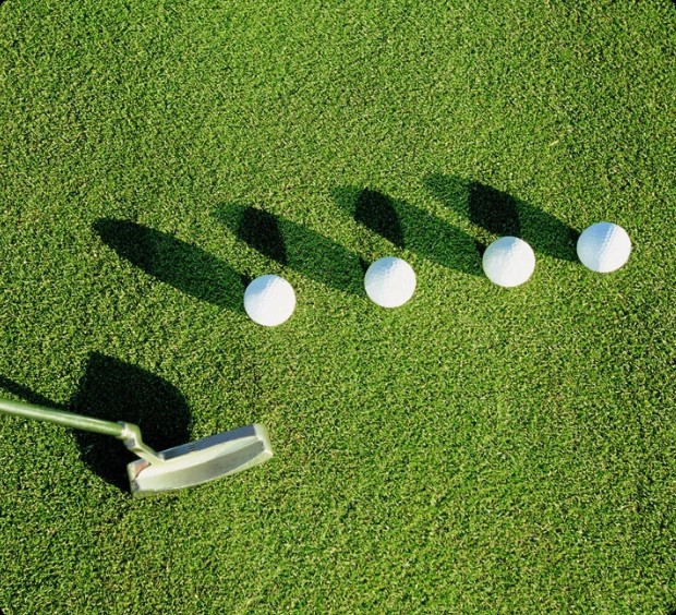 best putting green grass