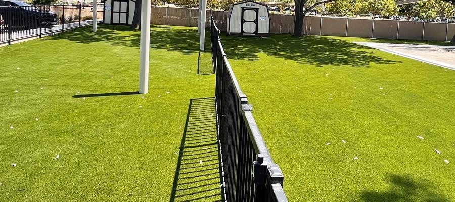 エドモントン人工芝