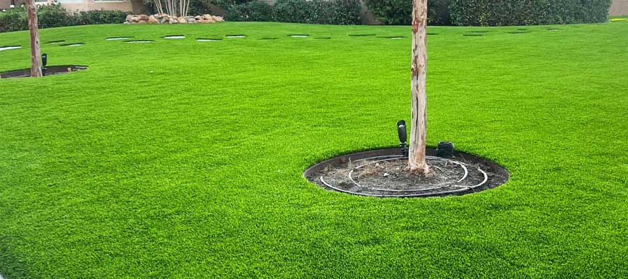 人工芝エドモントン