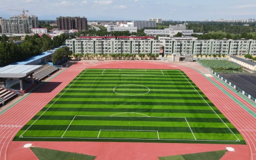 football grass for school